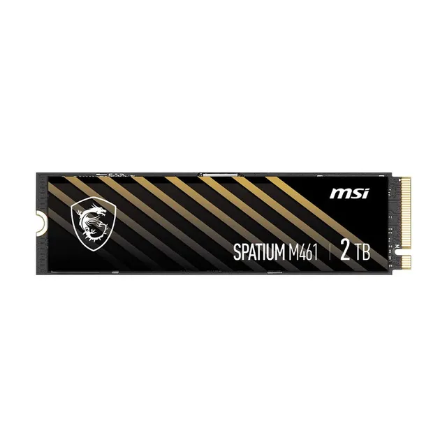 اس اس دی اینترنال PCIe Gen4 x4 ام اس آی مدل M461 ظرفیت 2 ترابایت